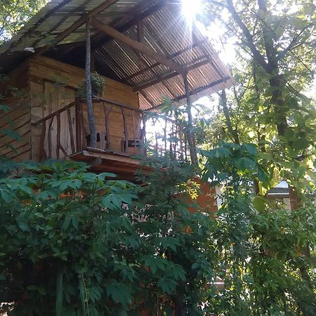 Апартаменты Angry Birds Tree House Хабарана Экстерьер фото
