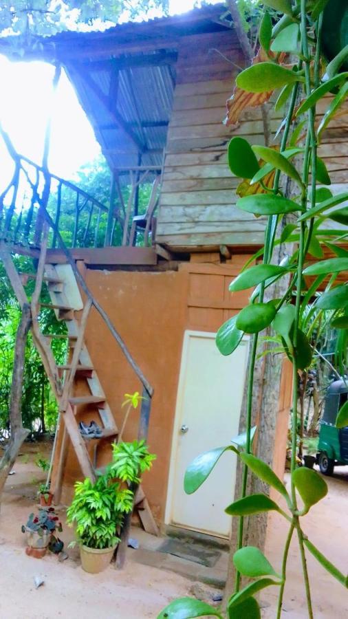 Апартаменты Angry Birds Tree House Хабарана Экстерьер фото