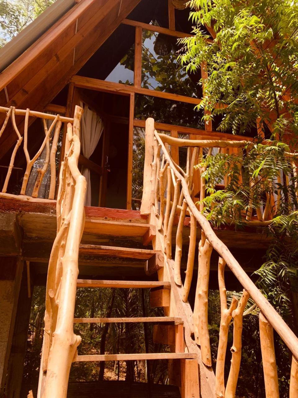 Апартаменты Angry Birds Tree House Хабарана Экстерьер фото