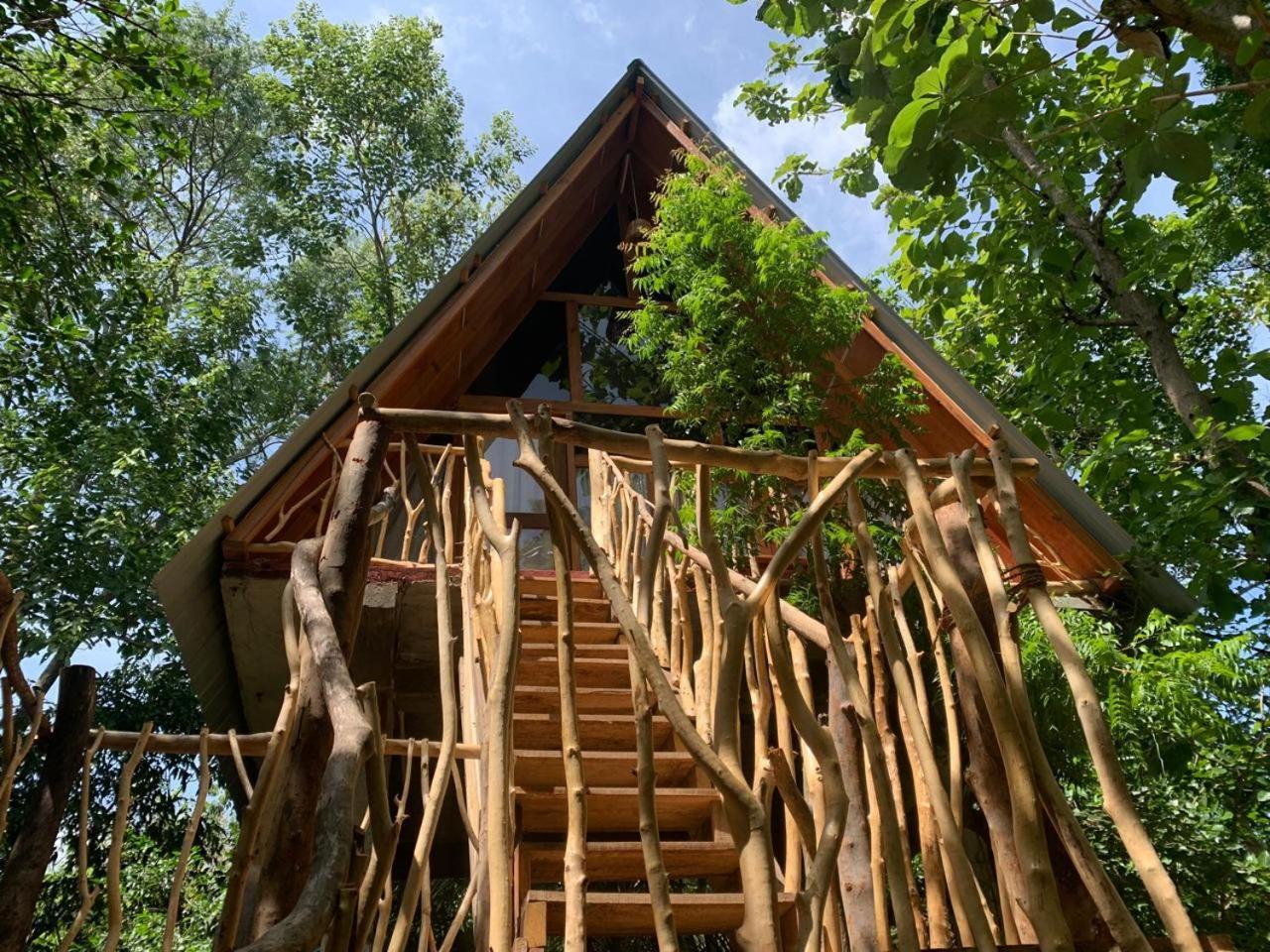 Апартаменты Angry Birds Tree House Хабарана Номер фото