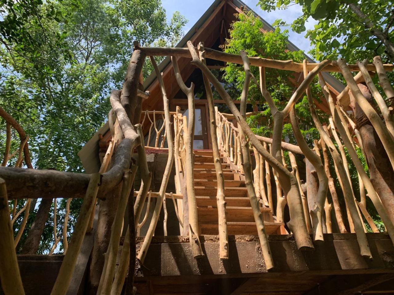 Апартаменты Angry Birds Tree House Хабарана Экстерьер фото