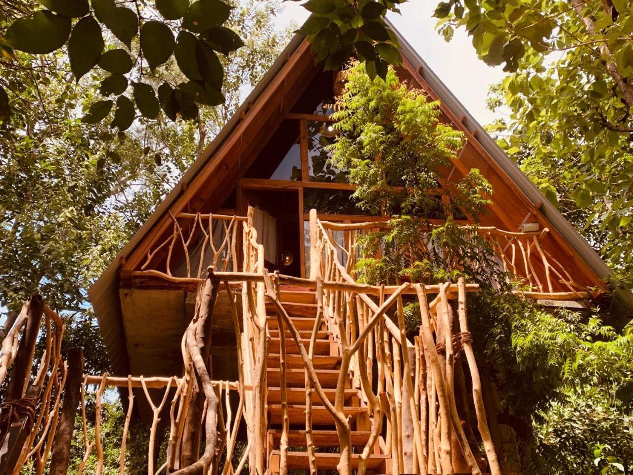 Апартаменты Angry Birds Tree House Хабарана Экстерьер фото