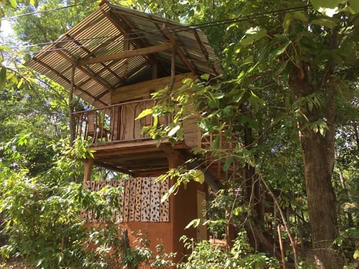 Апартаменты Angry Birds Tree House Хабарана Экстерьер фото