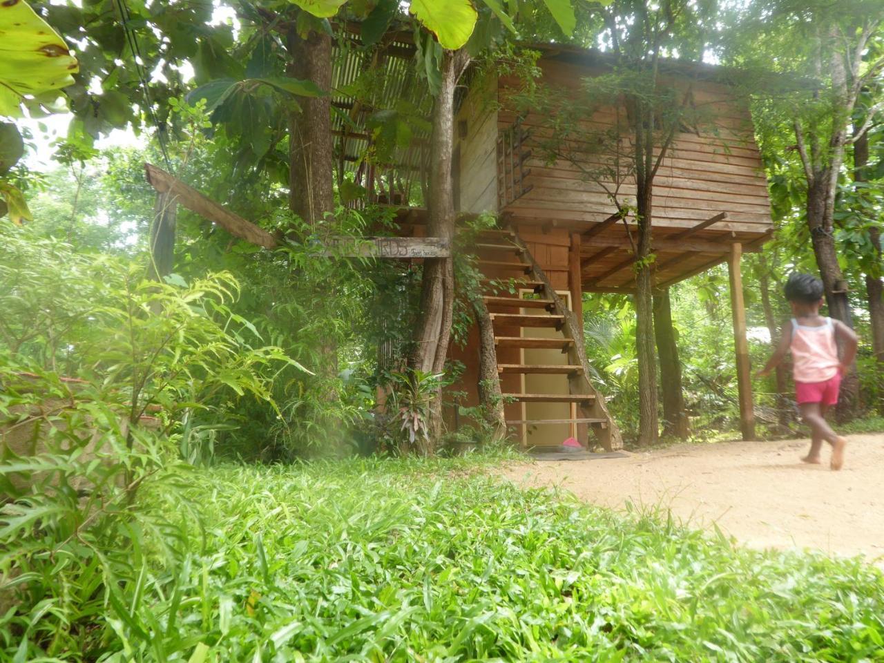 Апартаменты Angry Birds Tree House Хабарана Экстерьер фото