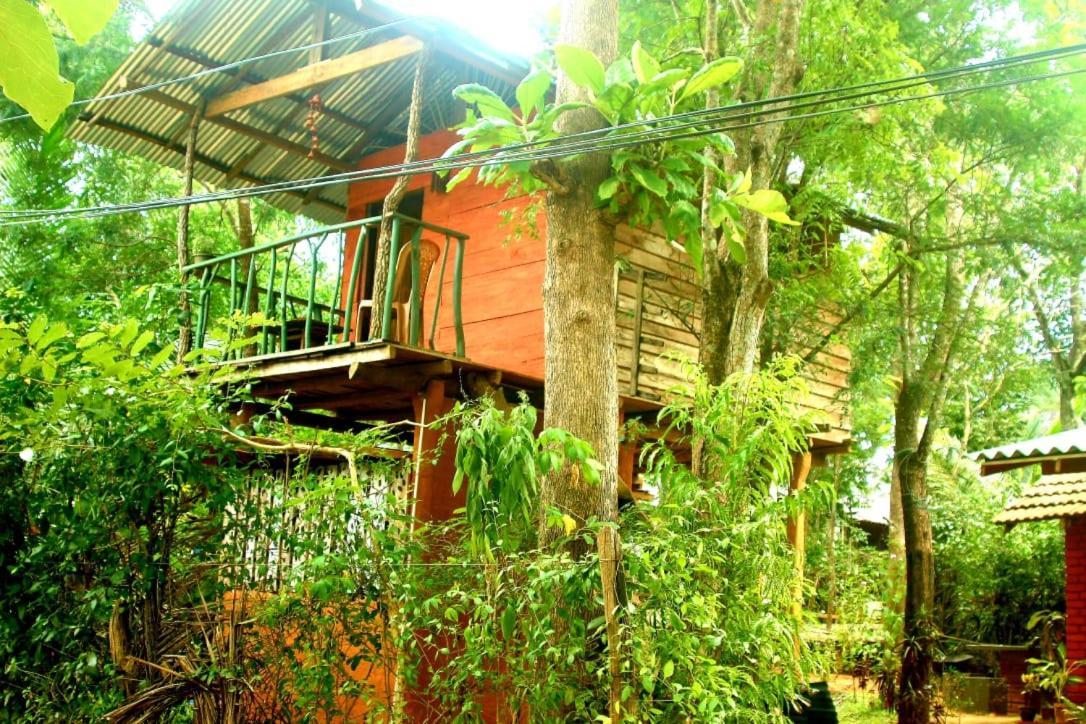 Апартаменты Angry Birds Tree House Хабарана Экстерьер фото